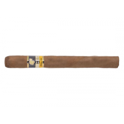 Cohiba Siglo V