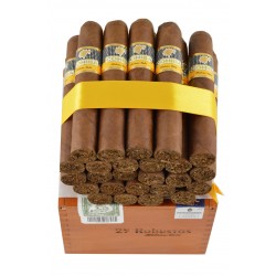 Cohiba Robustos