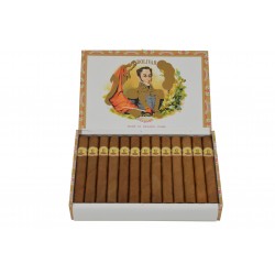 Bolivar Petit Coronas