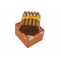 Cohiba Siglo VI