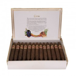 Cuaba Tradicionales