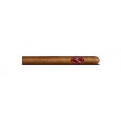 Zino Classic No.3