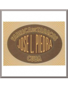 Jose L. Piedra