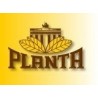 Planta Tobacco